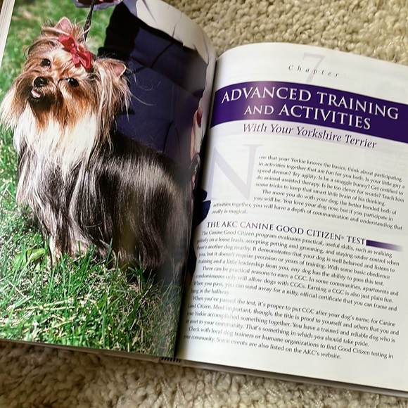 TWO Yorkshire Terrier Breed Care Manuals - Picture 4 of 12